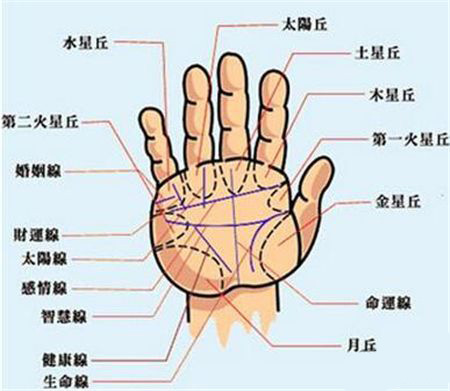 手相分析,赚钱方式,手相看财运