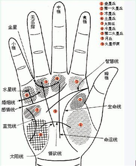 手相分析,手相感情线,手相看感情