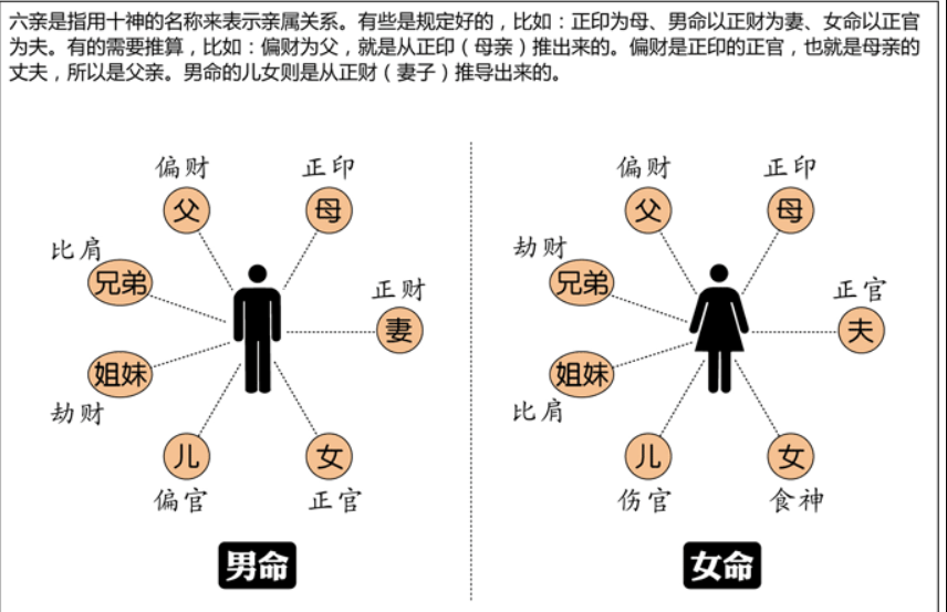 八字命理六亲论