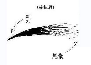 面相,扫把眉