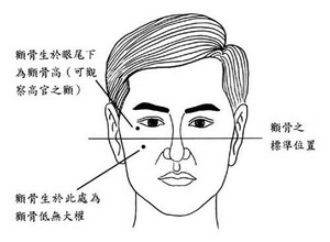 权利,颧骨,面相