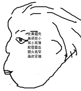 运气不佳,面相