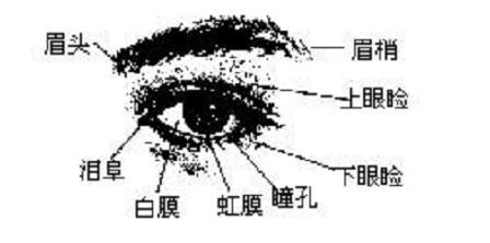 麻衣相法:面相眼睛