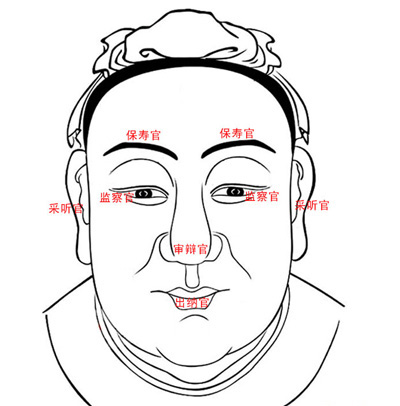 面相五官图