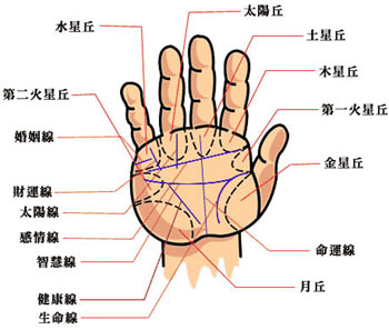 面相看退休后你会享福吗？