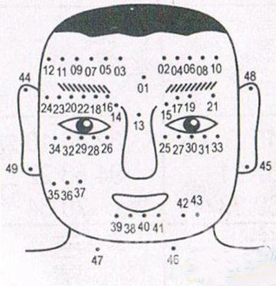 男人看面相大全图解