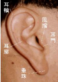 面相学算命图解