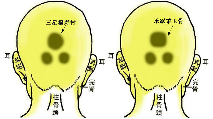 三星福寿骨