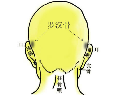 罗汉骨