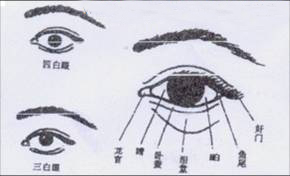 面相教学五官命运怎么看