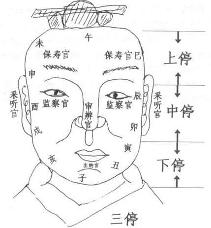 看眉毛眼睛面相知道命运