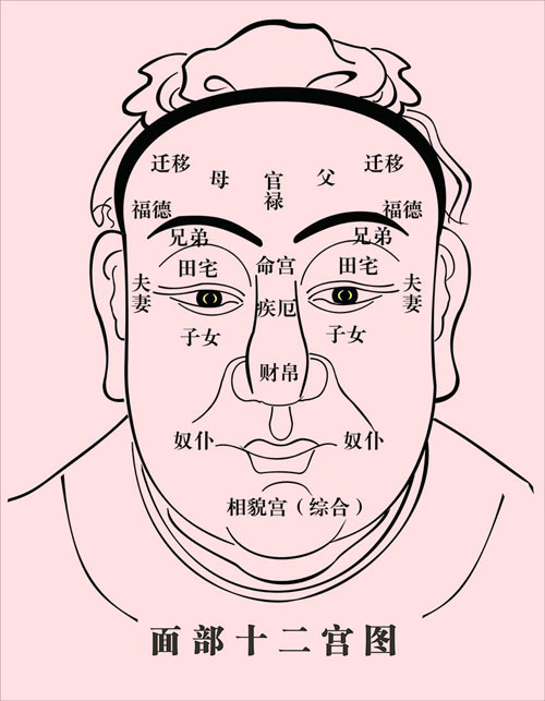 十二宫青筋暴露的面相