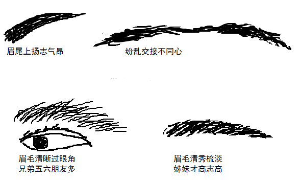 刘恒注解面相知识，眉毛面相知道命运