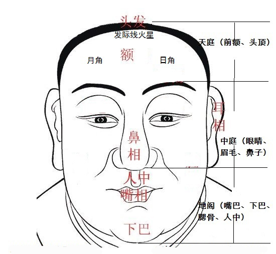 面相看额头知道命运，刘恒注解额头算命口诀