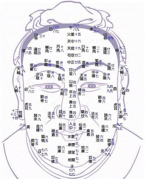 百岁(面相)流年运程图