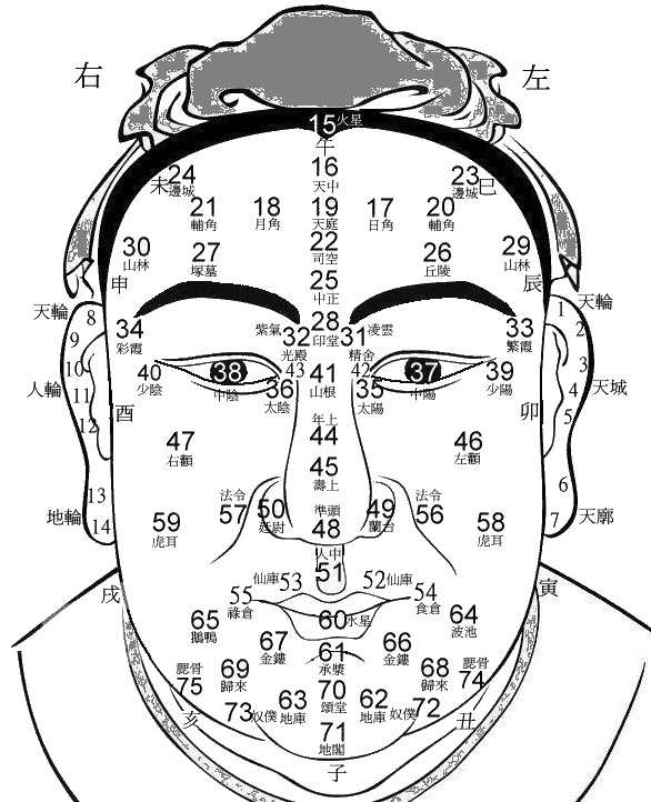 相面术简介