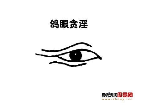 鸽眼解析