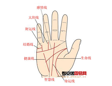 太阳线手相